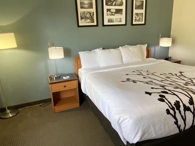 Sleep Inn & Suites Davenport Area image