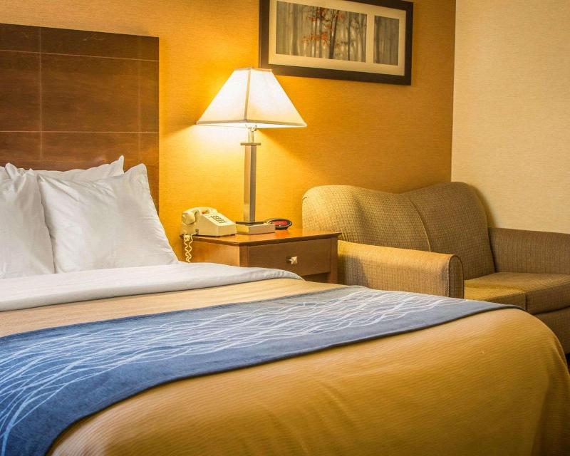 Quality Inn & Suites Port Huron image