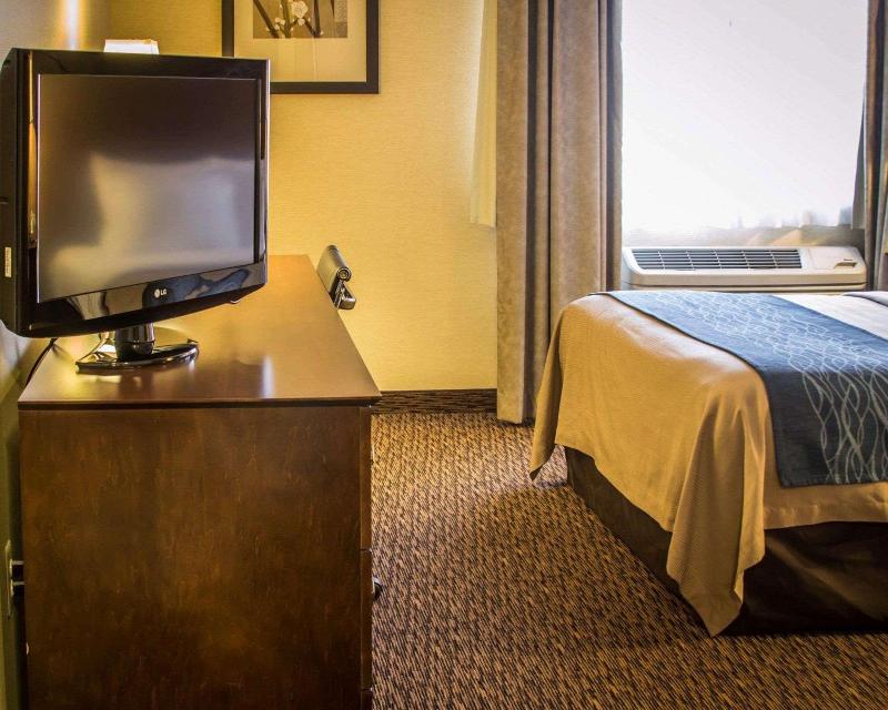 Quality Inn & Suites Port Huron image