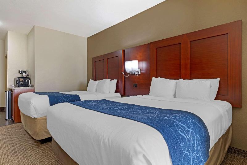Comfort Suites Gainesville image