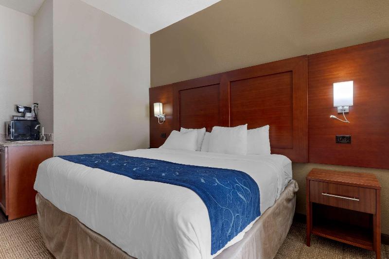 Comfort Suites Gainesville image