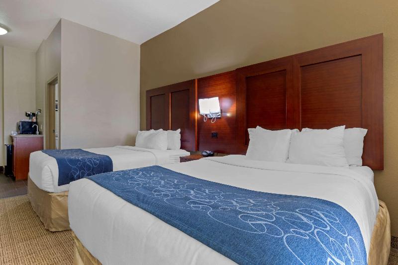 Comfort Suites Gainesville image