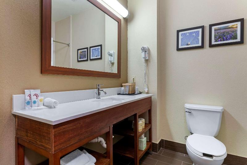 Comfort Suites Gainesville image