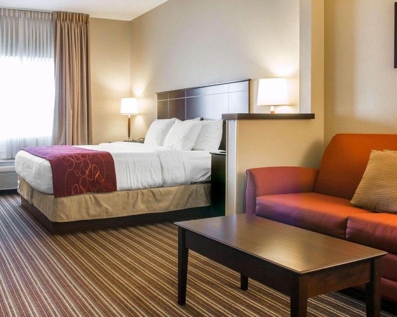 Hotel Comfort Suites Saginaw Area