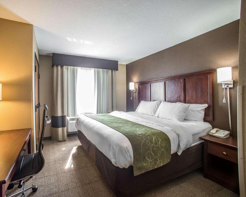 Hotel Comfort Suites Columbia - University Area