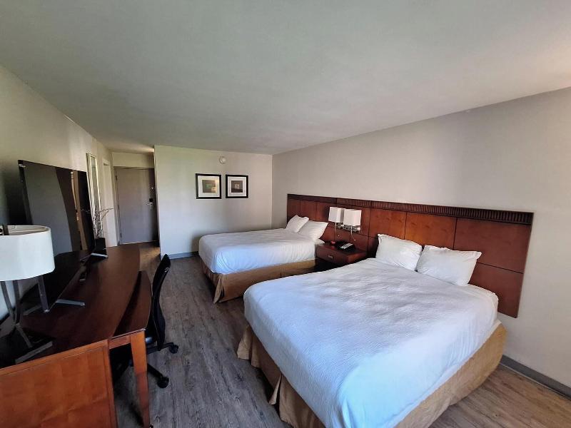 Econo Lodge & Suites image