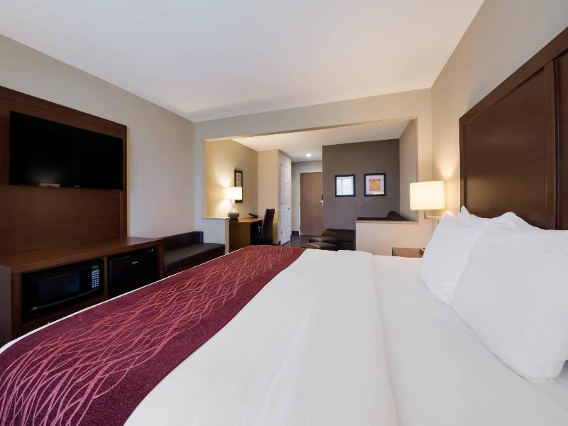 Comfort Inn Onalaska - La Crosse Area image