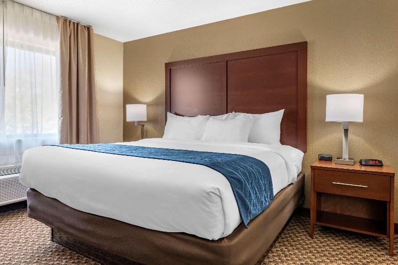 Comfort Inn Near Kokomo Speedway image
