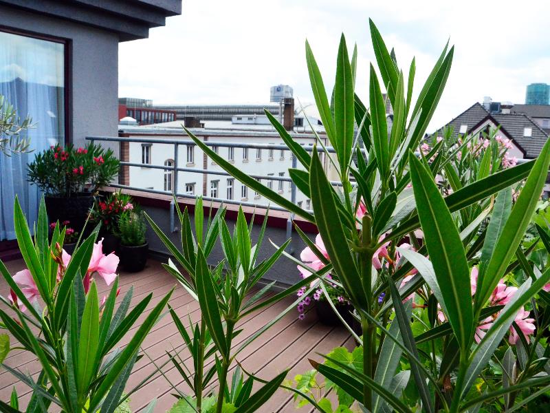 Tante ALMA Bristol Hotel image