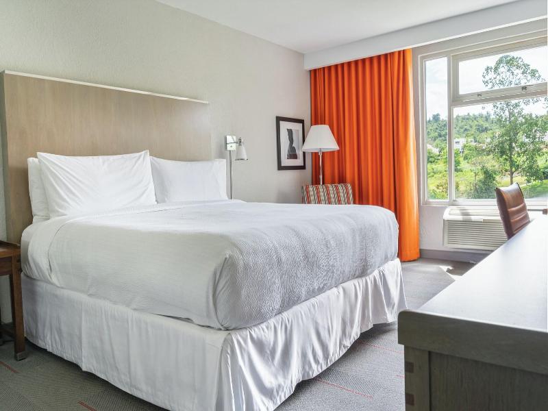 Four Points by Sheraton Caguas Real image