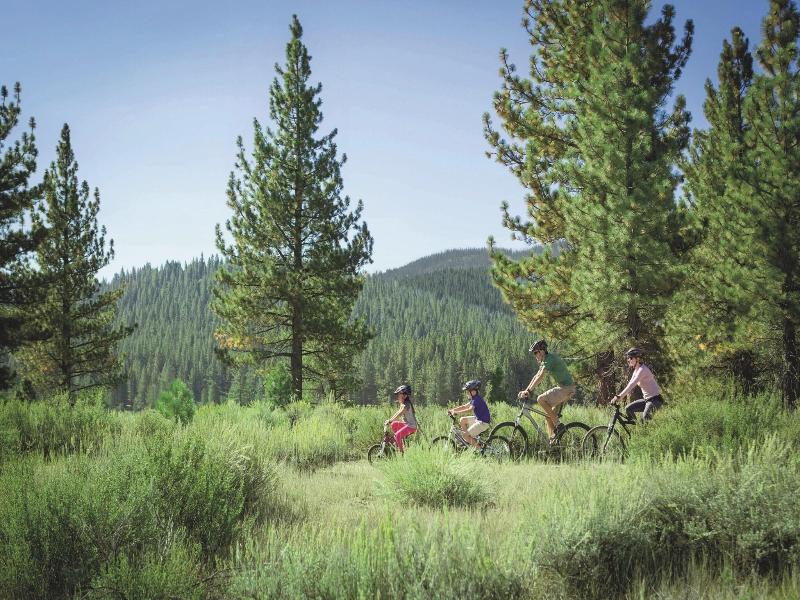 The Ritz-Carlton, Lake Tahoe image