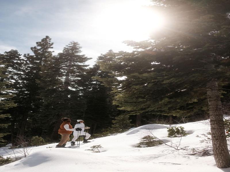 The Ritz-Carlton, Lake Tahoe image