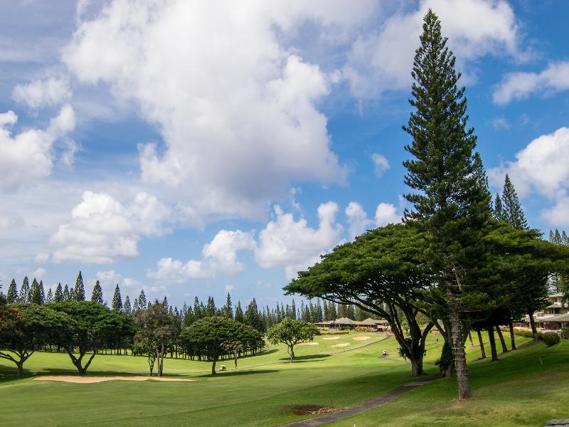 The Kapalua Villas Maui by Outrigger image