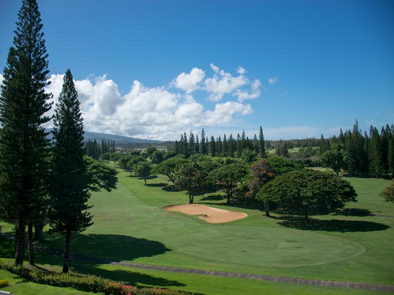 The Kapalua Villas Maui by Outrigger image