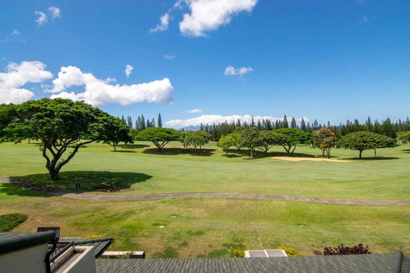 Fotos Hotel Kapalua Villas Maui