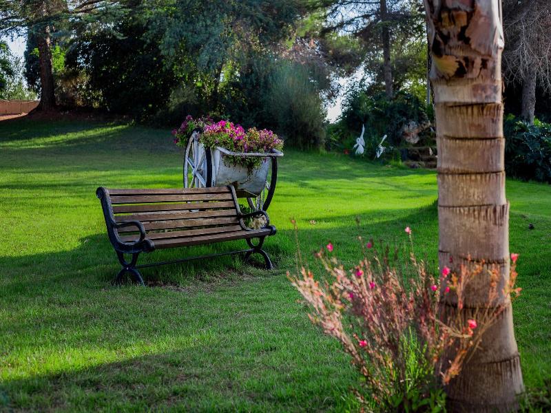 Hacienda Forestview image