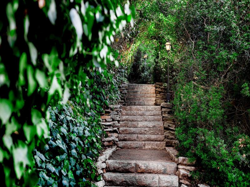 Hacienda Forestview image