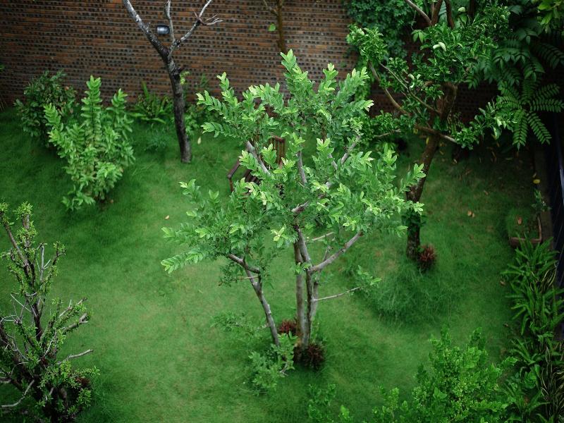Kaia Residence Da Nang Quiet Garden