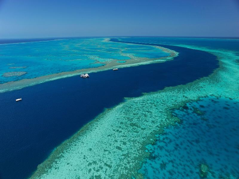 Palm Bungalows Hamilton Island image