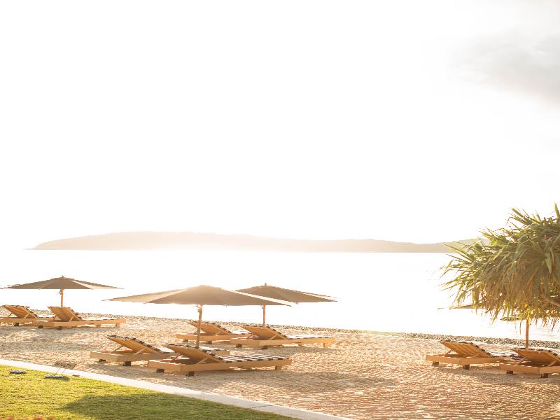 Qualia image