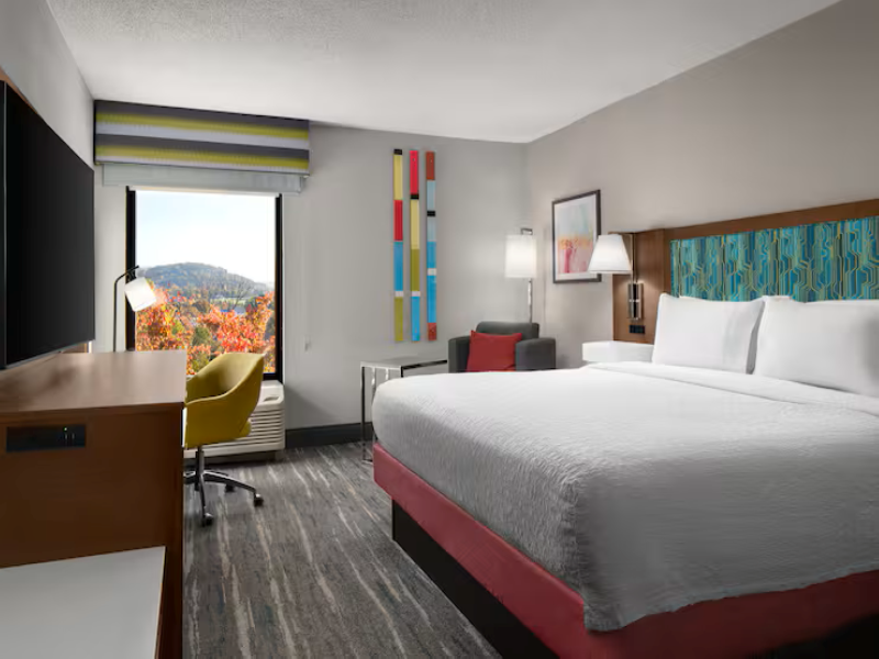 Hampton Inn Roanoke/Hollins - I-81 image
