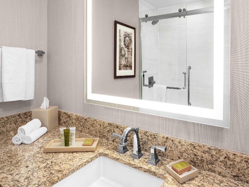 Hilton Kansas City Airport image