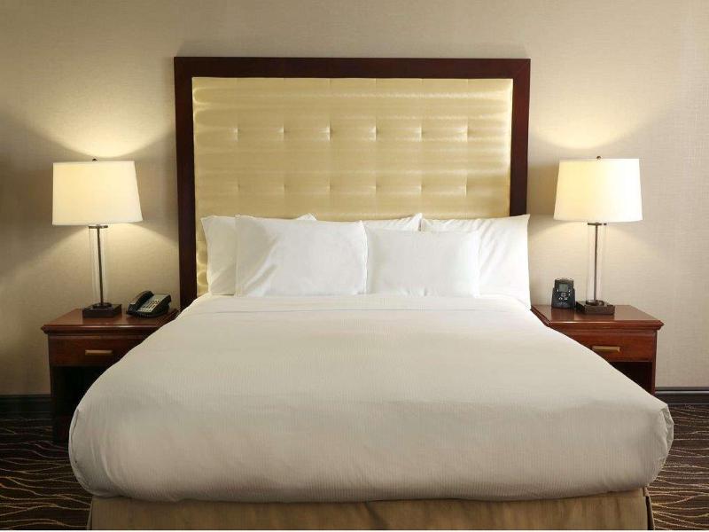 Hilton Kansas City Airport image