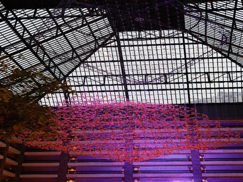Hilton Anatole image