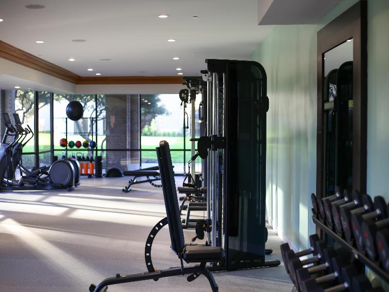 Hilton Anatole image
