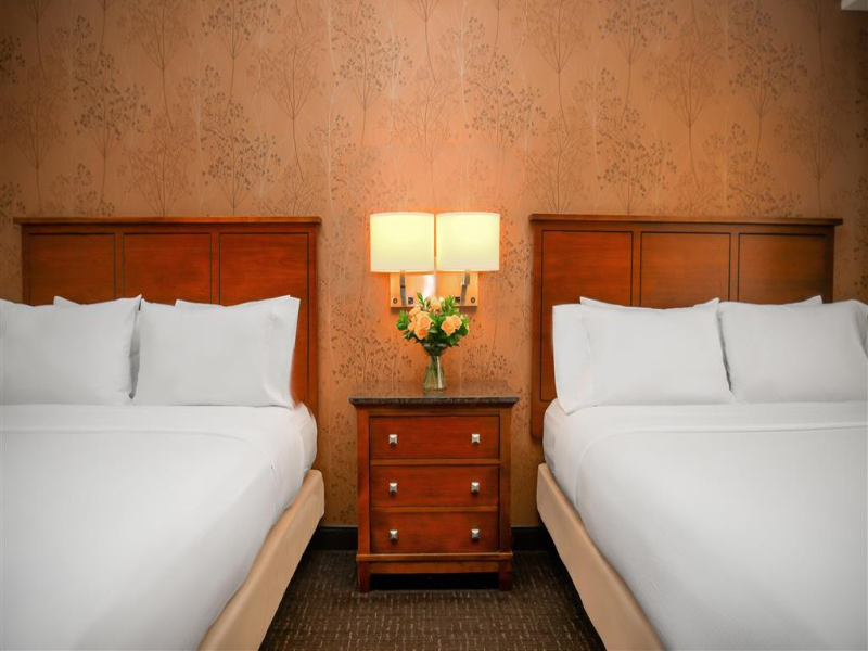 Embassy Suites by Hilton Austin Downtown South Con image