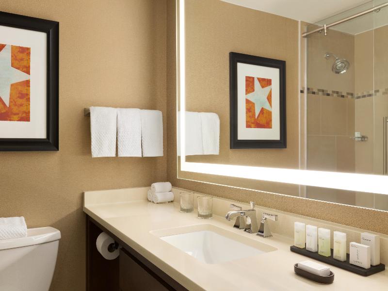 Embassy Suites by Hilton Austin Downtown South Con image