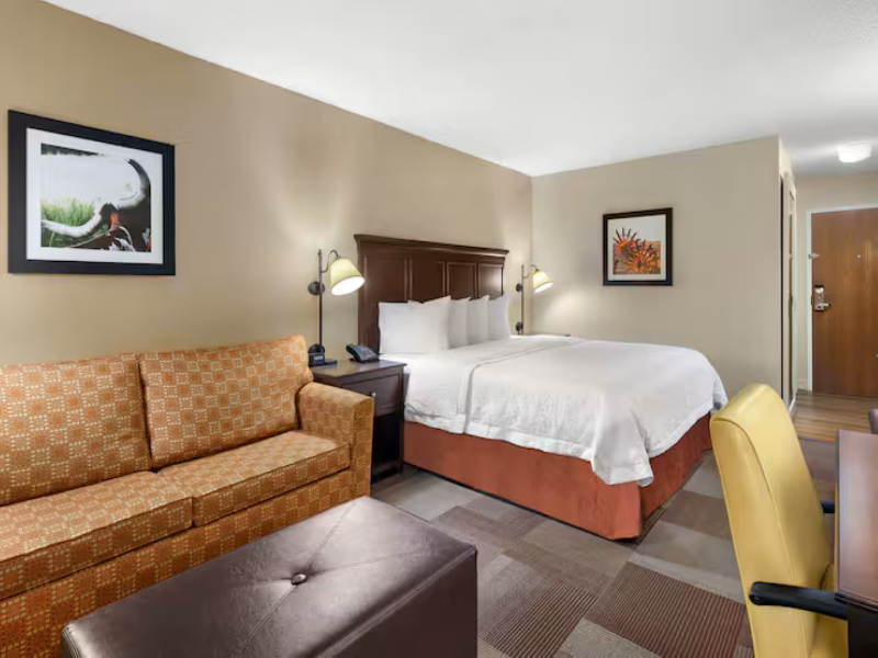 Hampton Inn Dallas-Irving-Las Colinas image