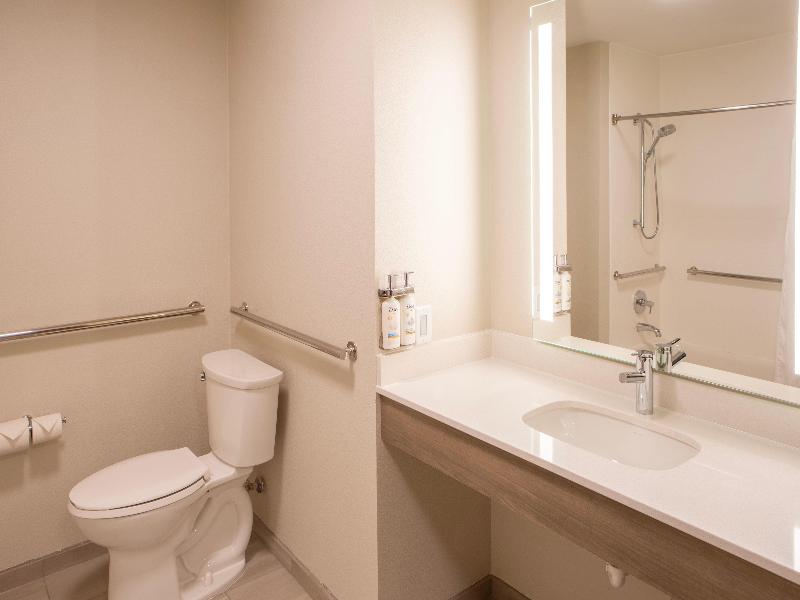 Holiday Inn Express and Suites Sioux City - Southe image