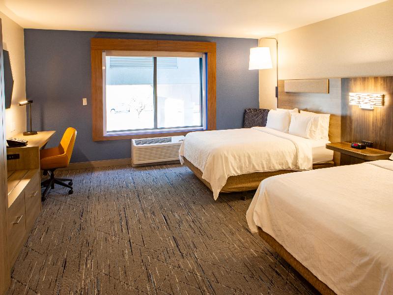 Holiday Inn Express and Suites Sioux City - Southe image