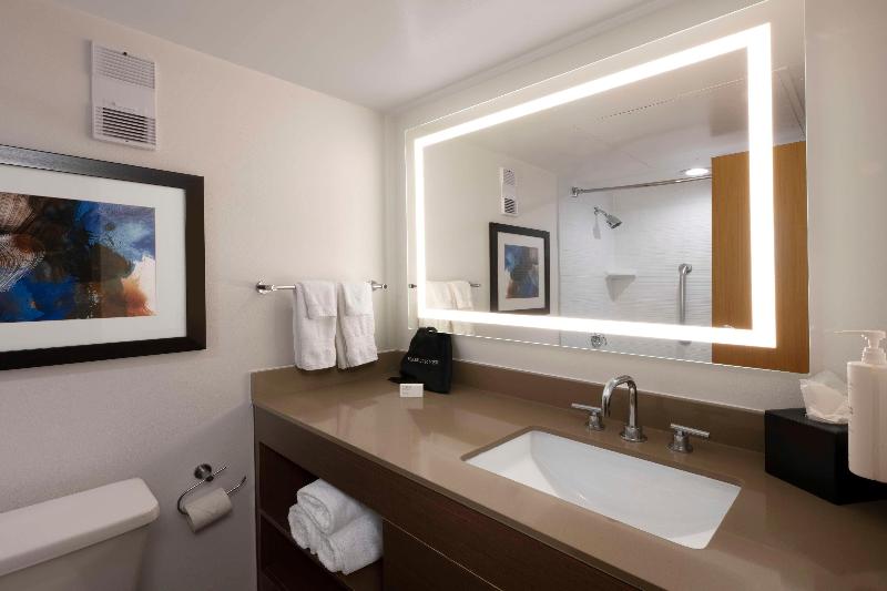 Embassy Suites Dallas - DFW International Aprt image