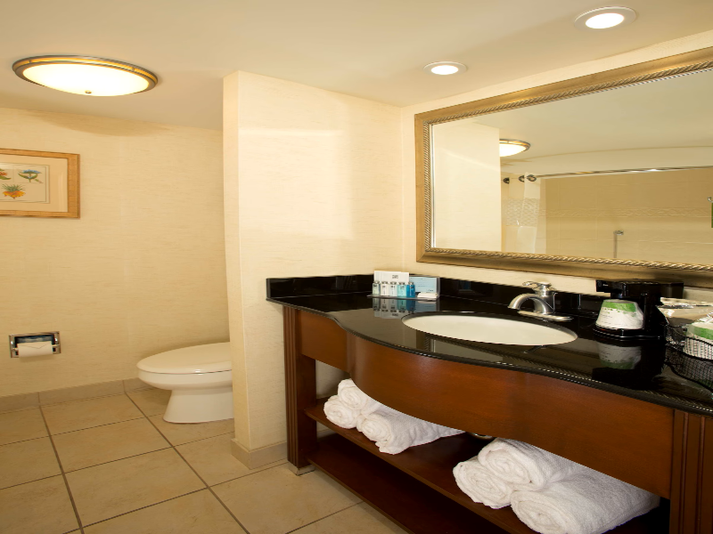 Hampton Inn Alexandria/Pentagon South image