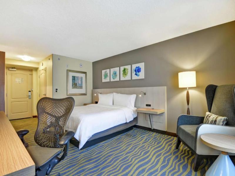 Hilton Garden Inn Lake Buena Vista image