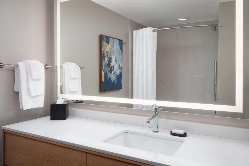 Embassy Suites By Hilton Nashville South Cool Spri image