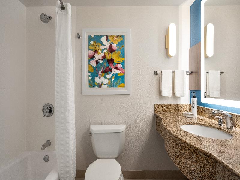 Hilton Garden Inn Fort Myers Airport- FGCU image