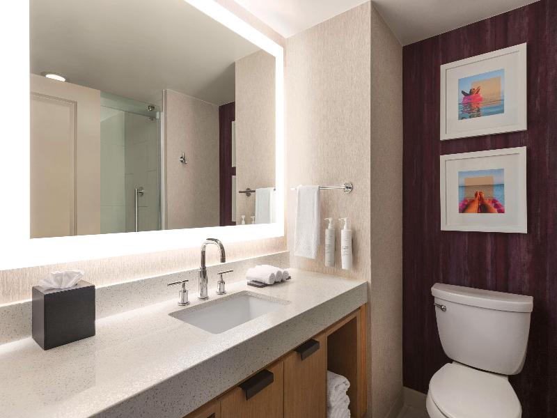 Embassy Suites by Hilton Tampa Downtown Convention image