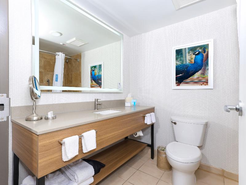 Hampton Inn Miami-Coconut Grove/Coral Gables image