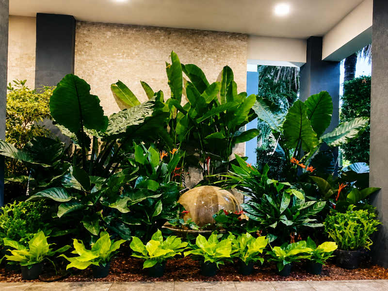 Hampton Inn Miami-Coconut Grove/Coral Gables image