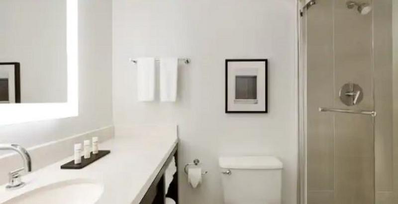 Embassy Suites By Hilton Boca Raton image