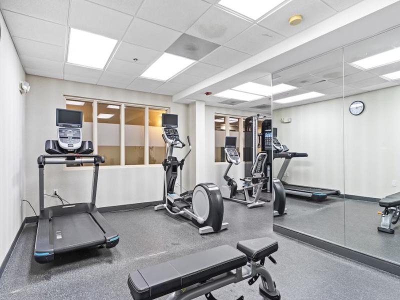 Holiday Inn St. Petersburg West image