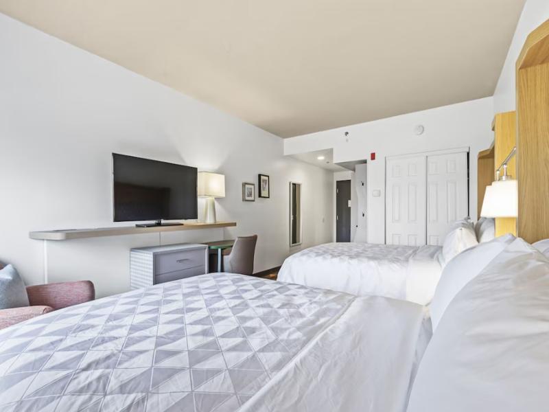 Holiday Inn St. Petersburg West image