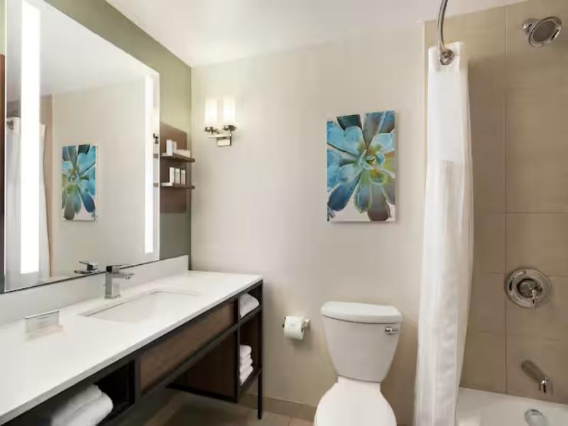 Hilton Garden Inn Charlotte/Ayrsley image