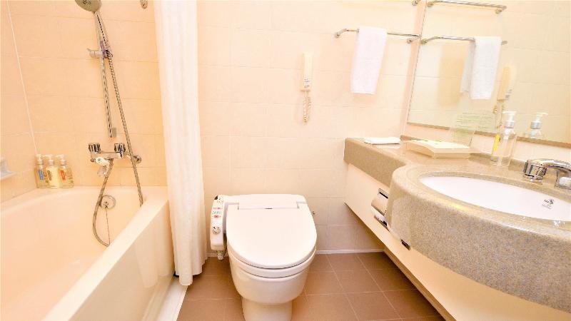 ANA Holiday Inn Sendai image