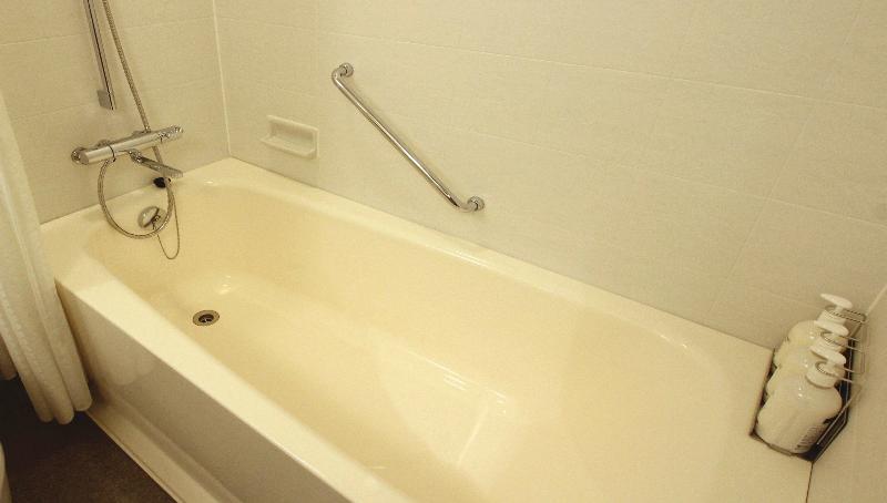 ANA Holiday Inn Sendai image