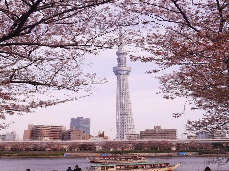 Smile Hotel Tokyo Nihombashi image