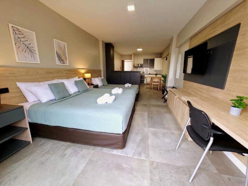 Soltigua Apart Hotel Mendoza image